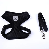 Puppy & Cat Vest Harness With Leash Breathable