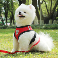 Puppy & Cat Vest Harness With Leash Breathable