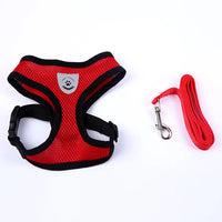 Puppy & Cat Vest Harness With Leash Breathable