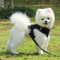 Puppy & Cat Vest Harness With Leash Breathable