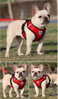 Puppy & Cat Vest Harness With Leash Breathable