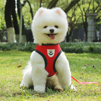 Puppy & Cat Vest Harness With Leash Breathable