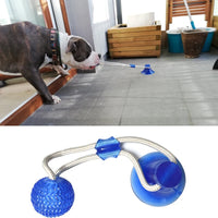 Toys  Interactive Suction Cup Push TPR Ball