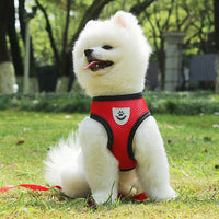 Puppy & Cat Vest Harness With Leash Breathable