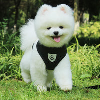 Puppy & Cat Vest Harness With Leash Breathable