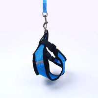 Puppy & Cat Vest Harness With Leash Breathable