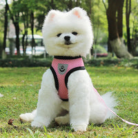 Puppy & Cat Vest Harness With Leash Breathable