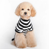 Halloween Dog Clothes Autumn Winter