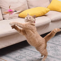 Interactive Cat Toys