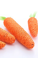 Carrot Sound Pet Bite Resistant