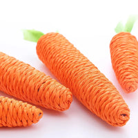 Carrot Sound Pet Bite Resistant