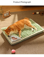 MADDEN Winter Warm Dog Mat Luxury Sofa