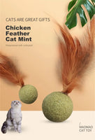 Catnip Toys Edible Catnip Ball Safety Healthy Mint