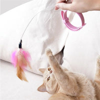 Interactive Cat Toys