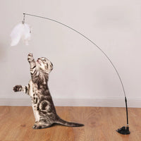 Interactive Cat Toy Handfree