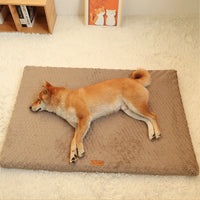 Short Plush Removable Washable Pet Bed