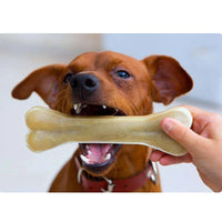 Dog Bones Chews Toys