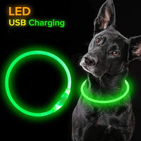 Led Pet Collar Luminous Usb 3 Modes Led Light