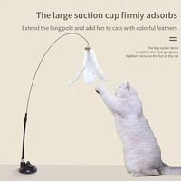 Interactive Cat Toy Handfree