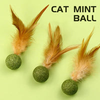 Catnip Toys Edible Catnip Ball Safety Healthy Mint