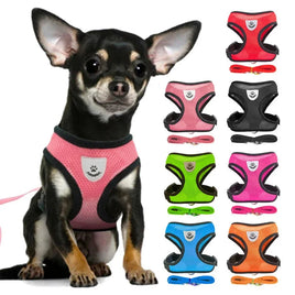 Puppy & Cat Vest Harness With Leash Breathable