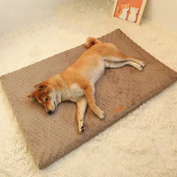 Short Plush Removable Washable Pet Bed