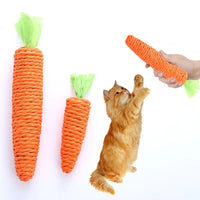 Carrot Sound Pet Bite Resistant