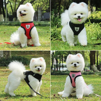 Puppy & Cat Vest Harness With Leash Breathable