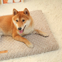 Short Plush Removable Washable Pet Bed