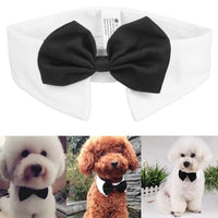 Pet Bow Tie