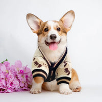 Luxury Dog Clothes