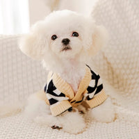 Luxury Dog Clothes