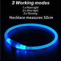 Led Pet Collar Luminous Usb 3 Modes Led Light