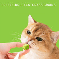 50g Catgrass Grain Freezedried