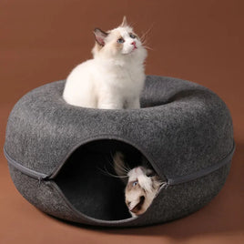 Donut Cat Bed for 2 Cute baby