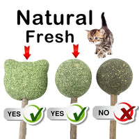 Fresh Cat Catnip Toys